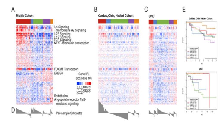 Figure 3. Validation datasets. Heat maps of PARADIGM integrated pathway levels (IPLs) for each dataset. Discovery dataset (A; MicMa), validation set 1 (B; Chin), and validation set 2 (C; UNC). Each row shows the IPL of a gene or complex across all three cohorts. Members of pathways of interest are labeled by their pathway. Red represents an activated IPL, and blue represents a deactivated IPL. (D) Under each heat map, a silhouette plot illustrates the ratio between distance to centroid of belonging cluster vs. distance to all other members. (E) Survival curves.